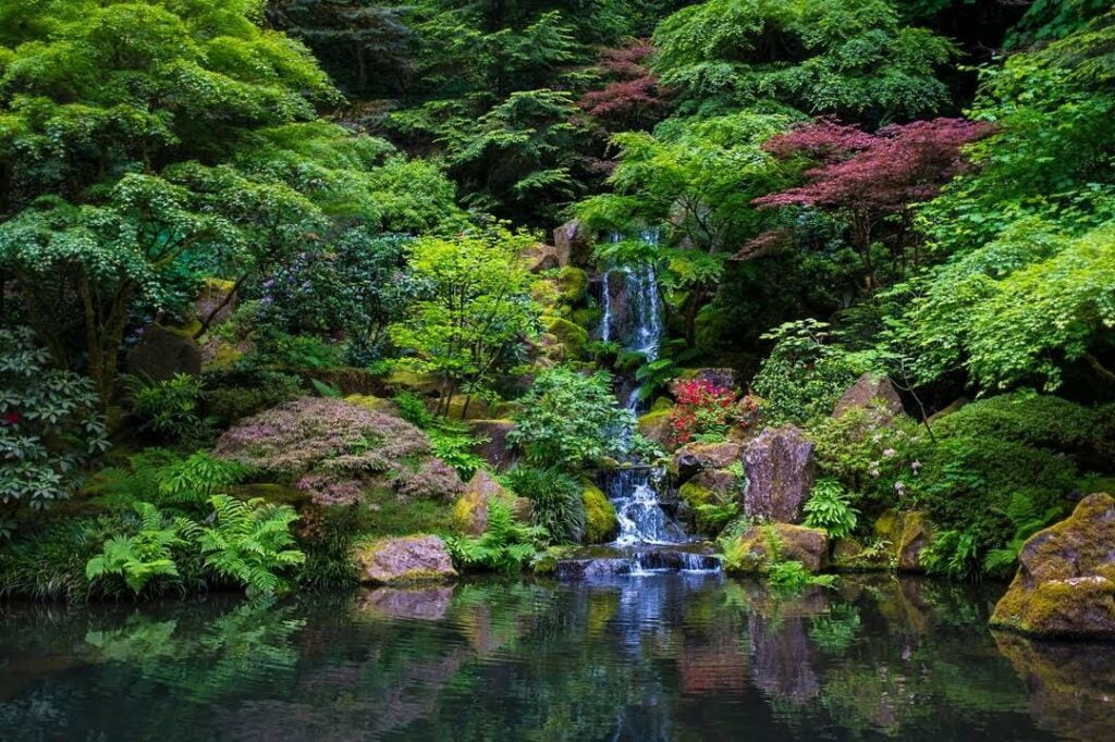 Image of a beautiful waterfall in Portland, OR. Representing that you can meet with an online therapist from anywhere in Portland or Oregon. Through online therapy for men in Portland, OR can help you feel better.