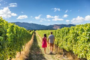 Image of a couple walking along a vineyard. Representing the benefit of marriage counseling if you identify with stonewalling in your relationship. A marriage counselor in San Diego, CA can help you strengthen your relationship.